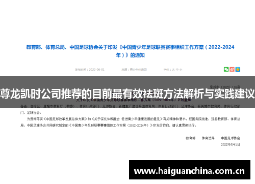 尊龙凯时公司推荐的目前最有效祛斑方法解析与实践建议