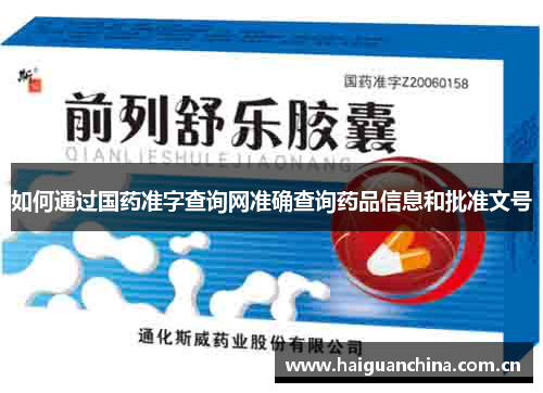 如何通过国药准字查询网准确查询药品信息和批准文号