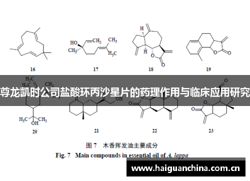 尊龙凯时公司盐酸环丙沙星片的药理作用与临床应用研究